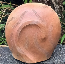 ヤンキーキャット